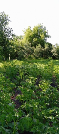 
  Продается земельный участок, 9 соток, село Криводановка
. Фото 7.