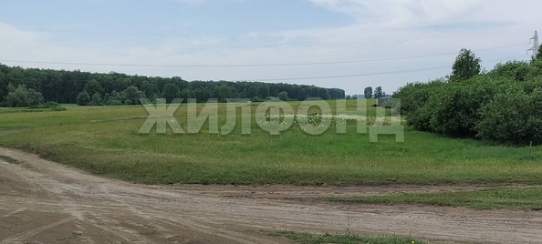 
  Продается земельный участок, 30 соток, село Алексеевка
. Фото 1.