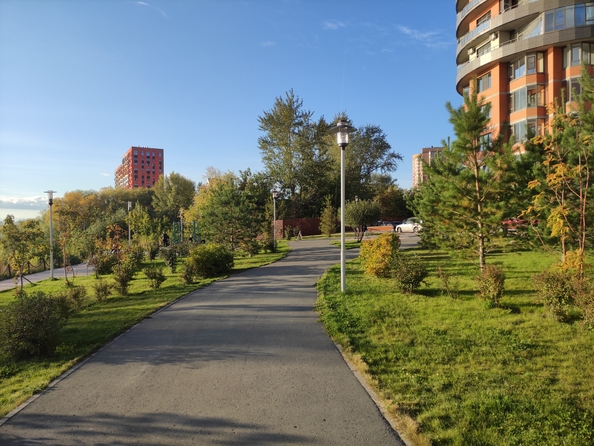 
  Сдам посуточно 2-комн. квартиру, 42 м², 2-я Обская ул, д. 154
. Фото 13.