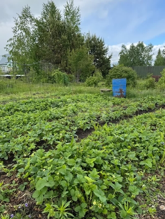 
  Продается дом, 80 м², село Ленинское
. Фото 6.