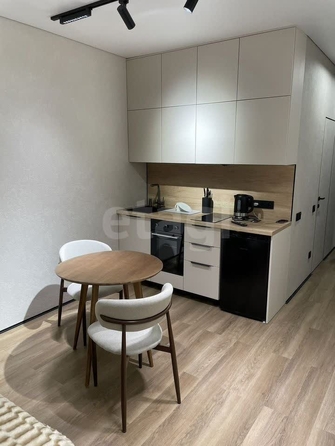 
  Сдается 1-комн. квартира, 25.5 м²
. Фото 2.