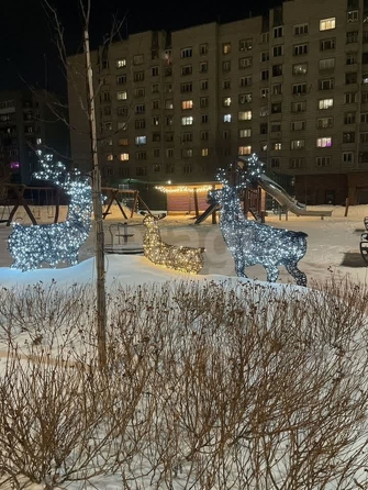 
  Сдается 1-комн. квартира, 25.5 м²
. Фото 31.
