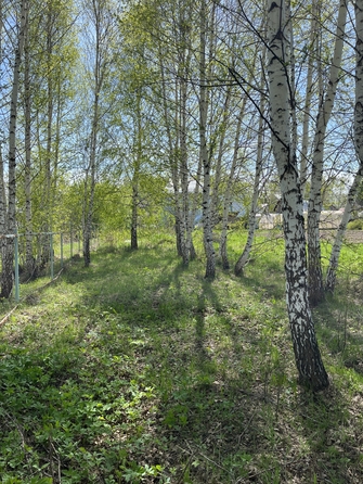 
  Продам коттедж, 205.6 м², село Каменка
. Фото 9.