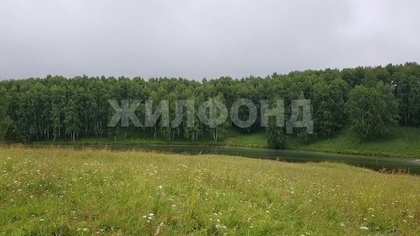 
  Продается дача, 35 м², станция Мочище
. Фото 7.
