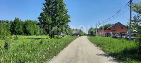 
  Продается земельный участок, 48 соток, ДНТ Синегорье
. Фото 1.