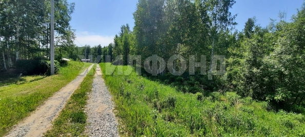 
  Продается земельный участок, 48 соток, ДНТ Синегорье
. Фото 5.