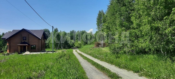 
  Продается земельный участок, 48 соток, ДНТ Синегорье
. Фото 10.