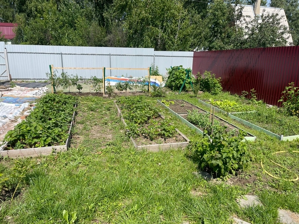 
  Продам дачу, 49.8 м², Новосибирск
. Фото 12.