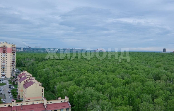 
  Продается 1-комн. квартира, 43.5 м², ЖК Золотая роща
. Фото 16.