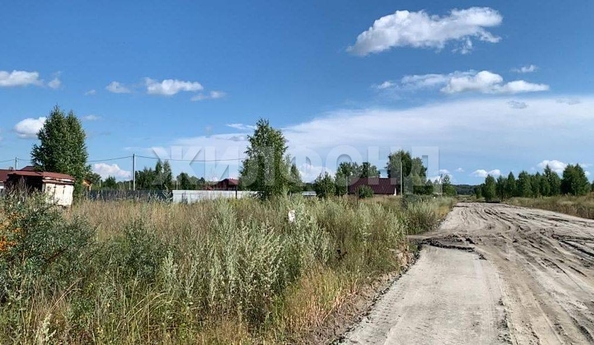 
  Продается земельный участок, 8.03 соток, село Верх-Тула
. Фото 5.