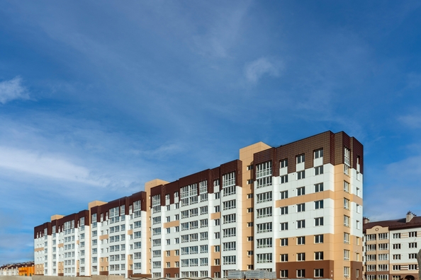
  Продается 2-комн. квартира, 49.7 м², ЖК Фламинго, дом 17
. Фото 2.
