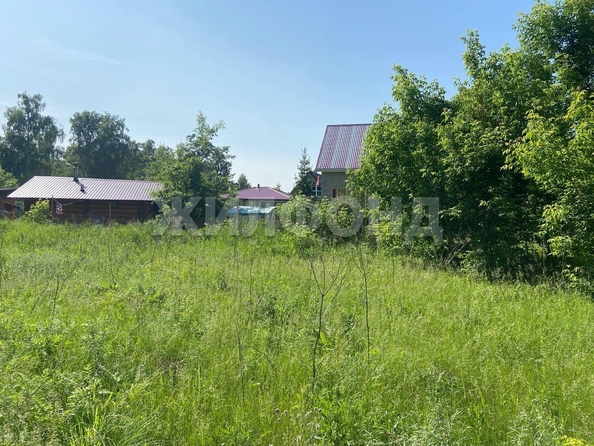
  Продается земельный участок, 15 соток, село Боровое
. Фото 2.