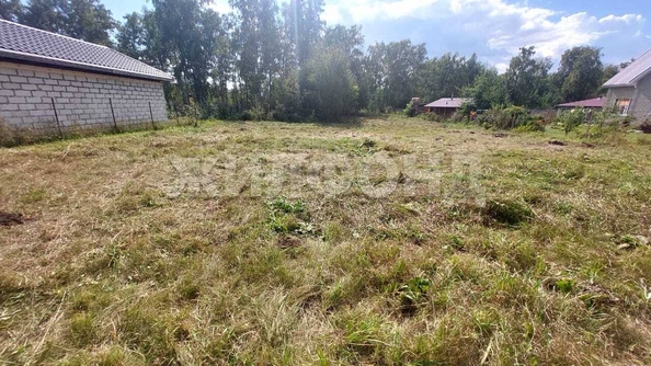
  Продается земельный участок, 15 соток, село Боровое
. Фото 9.