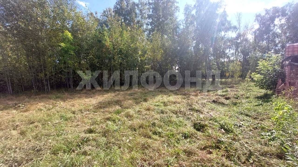 
  Продается земельный участок, 15 соток, село Боровое
. Фото 13.