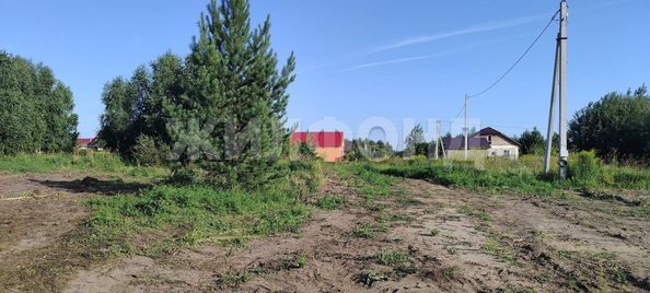 
  Продается земельный участок, 19.06 соток, село Морозово
. Фото 4.