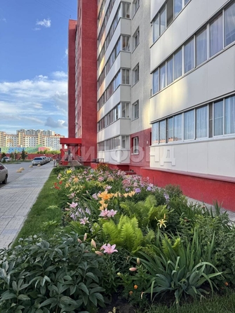 
  Продается студия, 24.1 м², ЖК Матрешкин двор, 95/4, 3 б/с
. Фото 10.