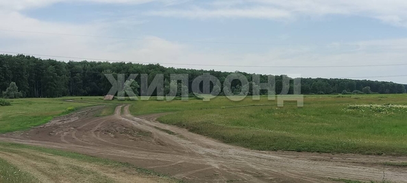 
  Продается земельный участок, 10 соток, село Алексеевка
. Фото 3.