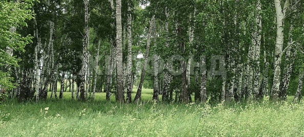 
  Продается земельный участок, 10 соток, село Алексеевка
. Фото 11.