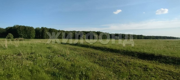 
  Продается земельный участок 10 соток. Фото 12.