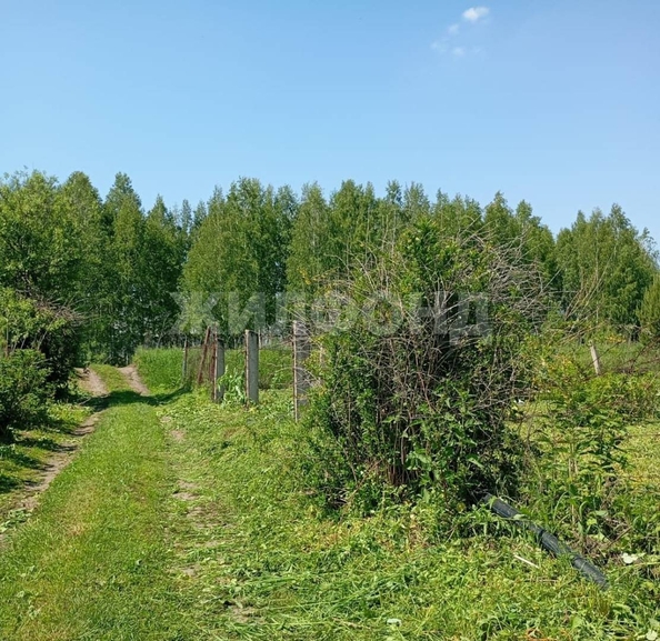 
  Продается земельный участок, 5.3 соток, село Барышево
. Фото 6.