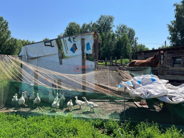 
  Продается земельный участок, 450 соток, ДНТ Шуманка
. Фото 14.
