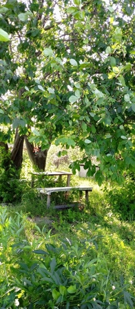 
  Продается дача, 20 м², село Криводановка
. Фото 5.