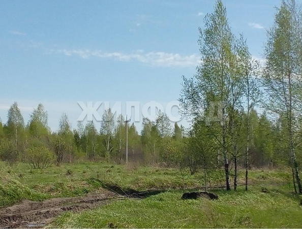 
  Продается земельный участок, 88 соток, рабочий поселок Кольцово
. Фото 3.