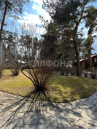 
  Продается 1-комн. квартира, 44.6 м², Дачное ш, д. 2/1
. Фото 13.