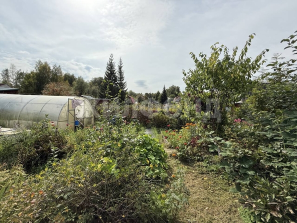 
  Продается дача, 31.7 м², Новосибирск
. Фото 19.