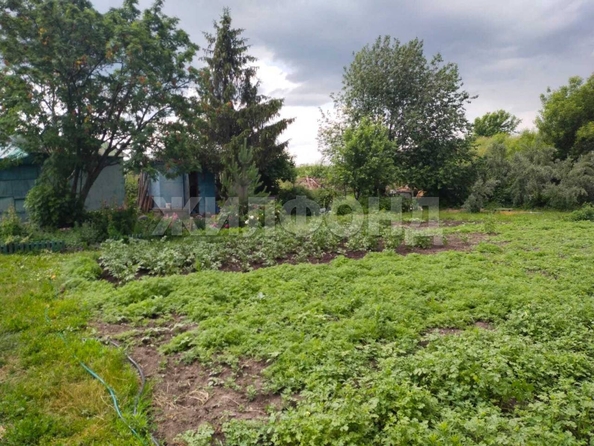 
  Продается земельный участок, 9 соток, село Криводановка
. Фото 2.