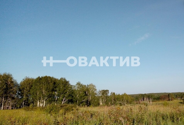 
  Продается земельный участок, 103.07 сотки, село Томилово
. Фото 1.