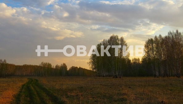 
  Продается земельный участок, 103.07 сотки, село Томилово
. Фото 3.