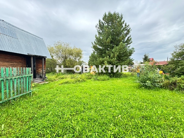 
  Продается коттедж, 55 м², СНТ СНТ Мелиоратор
. Фото 4.
