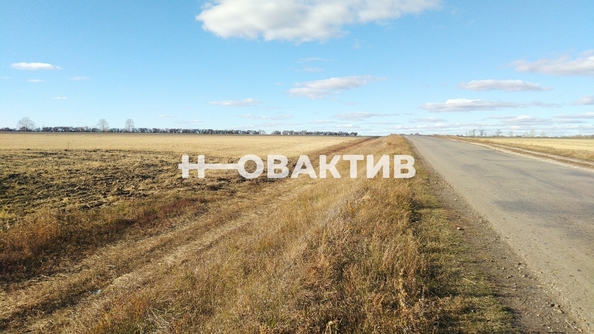 
  Продается земельный участок, 970 соток, село Новопичугово
. Фото 6.