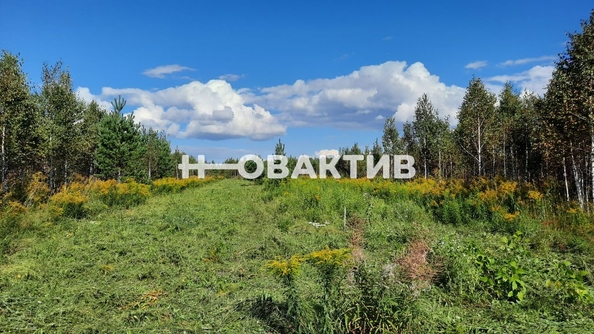 
  Продается земельный участок, 50 соток, поселок Барлакский
. Фото 9.