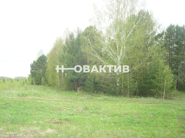 
  Продается земельный участок, 50 соток, поселок Барлакский
. Фото 11.