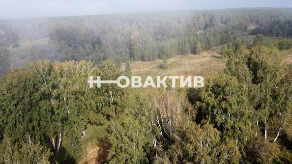 
  Продается земельный участок, 1700 соток, СНТ Луговое
. Фото 5.
