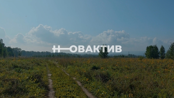 
  Продается земельный участок, 1700 соток, СНТ Луговое
. Фото 13.