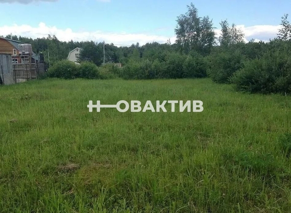 
  Продается земельный участок, 1279 соток, станция Мочище
. Фото 1.