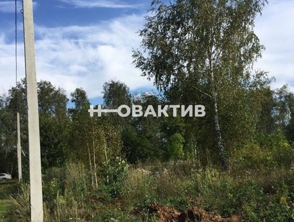 
  Продается земельный участок, 1279 соток, станция Мочище
. Фото 6.