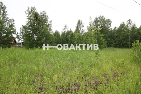 
  Продается земельный участок, 11.08 соток, посёлок Новониколаевский
. Фото 9.