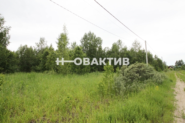 
  Продается земельный участок, 11.08 соток, посёлок Новониколаевский
. Фото 12.
