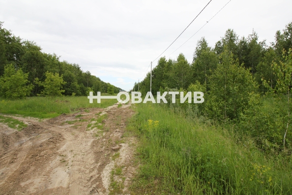 
  Продается земельный участок, 11.08 соток, посёлок Новониколаевский
. Фото 16.