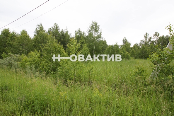 
  Продается земельный участок, 11.08 соток, посёлок Новониколаевский
. Фото 17.