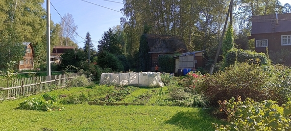 
  Продам дачу, 50 м², Новосибирск
. Фото 13.