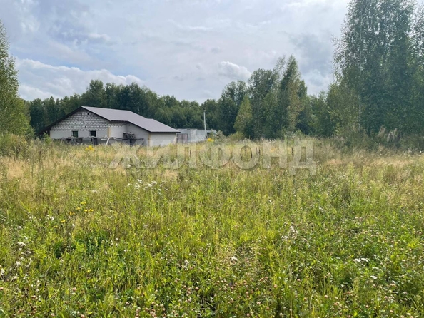 
  Продается дом, 122 м², село Новокаменка
. Фото 12.