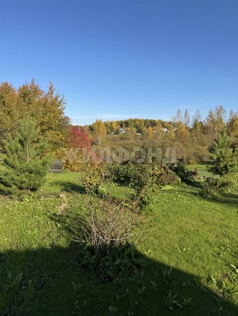 
  Продается дом, 53.8 м², село Сокур
. Фото 27.