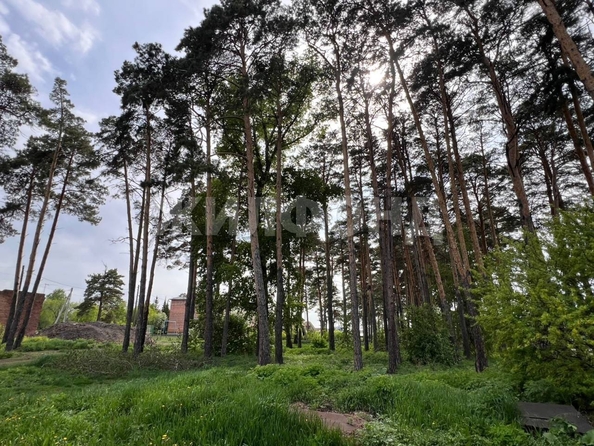 
  Продается дом, 72.8 м², рабочий поселок Ордынское
. Фото 15.