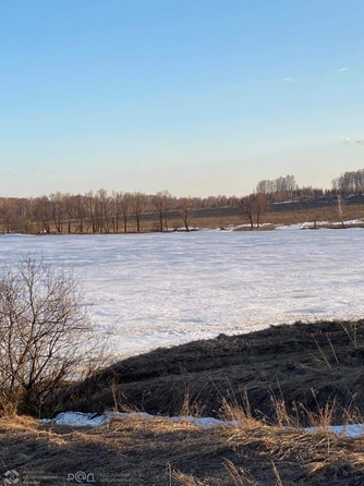 
  Продается земельный участок, 29.57 соток, село Сокур
. Фото 1.
