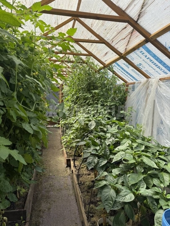 
  Продается дача, 45 м², СНТ Яблоневый сад 1
. Фото 11.